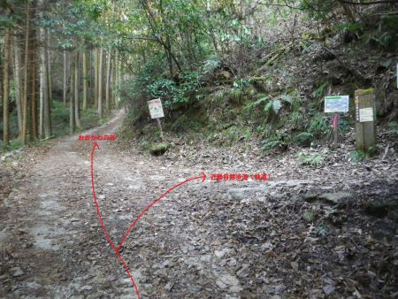 分岐。ここを右にいけば城ヶ峰方面で近畿自然歩道だけどひたすら林道が続くらしい