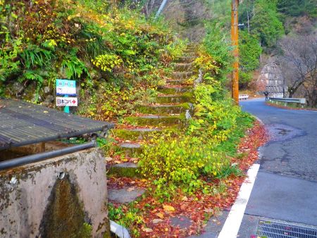 変なところだけど、ここに藤川谷の登山口があるので階段を登っていく