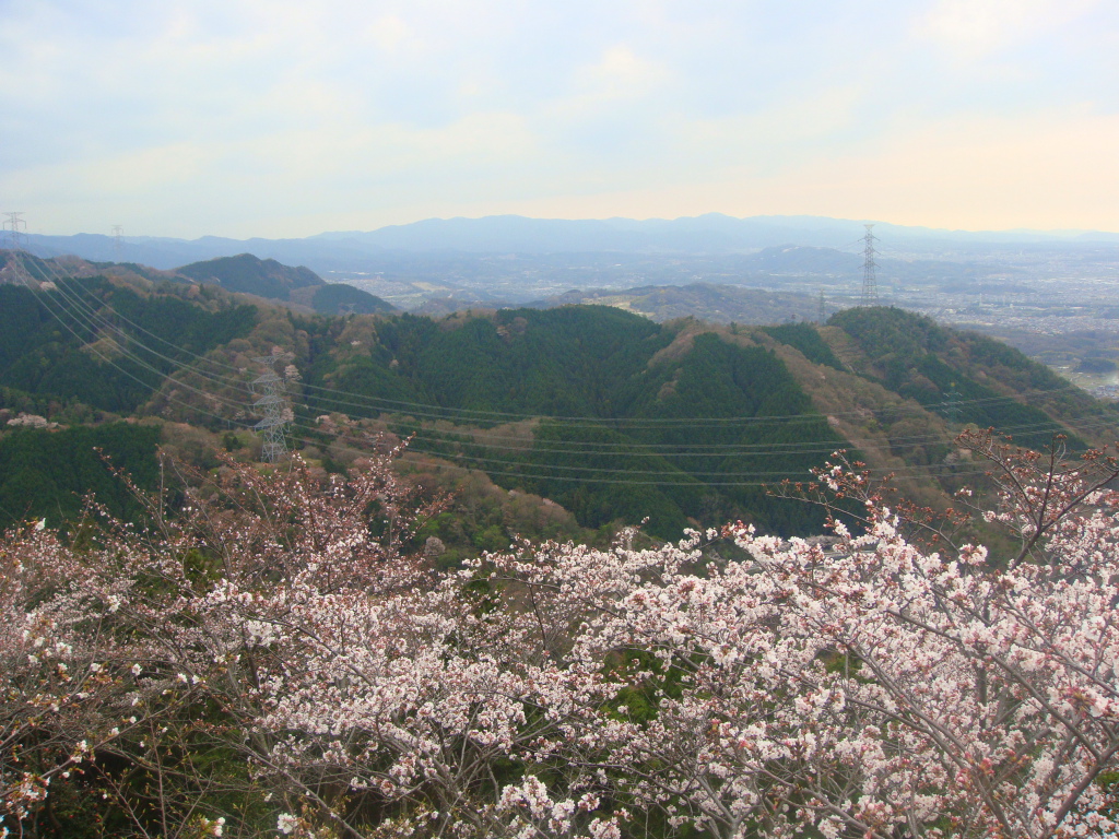 二上山 桜景色14 涼のハイキングコースや山行記録