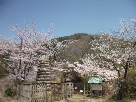 鹿谷寺跡。ここも桜風景が絵になってるね