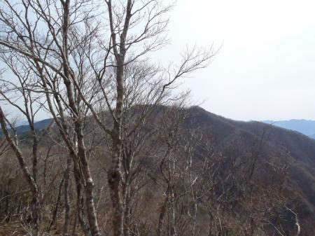やっと見えた伯母子岳のピーク。左側のほうが高そうにみえるが、右側のピークが山頂