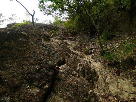 まさかとは思ったけど、この岩場を登っていく。ここはロープなしでも登れそうな斜面