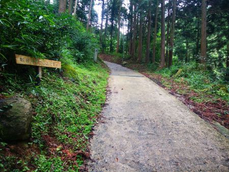 長い林道のような道を歩いていくと観音寺はこの上ですの看板がでてくる。ここまでくるとあともう少し
