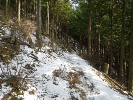この付近は陽があたってるのでそこまで雪は凍ってなかった。それにしてもなだらかな登りの尾根道が続いた