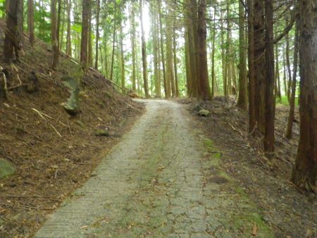 坂道を登っていって植林帯に入ったら才の神峠まではあともう少し。それにしても舗装道が長い