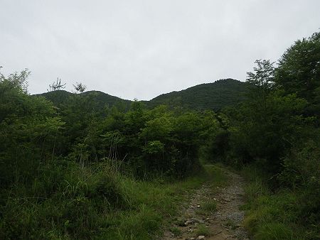 右側に見えてる山が西光寺山と思われる。一番左側のピークは加東神山で、真ん中のピークが洞ヶ山と思われる
