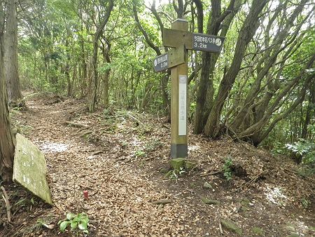 下山時に使う近畿自然歩道の分岐まで登ってきた。西光寺山山頂まであと0.2kmということなのでさっさと登っていく