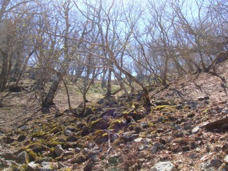 稜線がみえ、レンゲ辻が見えたがすごい急斜面