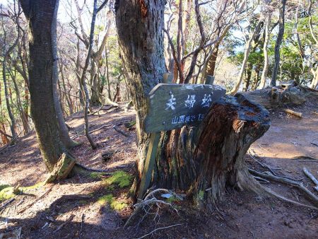夫婦松というらしいけど、完全に松の木か何かわからない。山頂まで1.5kmなので林道分岐から半分の地点になる