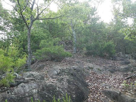 岩場の登りがはじまる。陽が当たっているので岩はすっかり乾いていてよかった。この山はガレ場や岩場が多いんだね