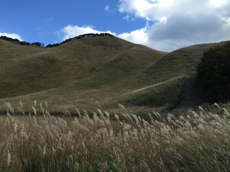 このススキの風景がまた良い。曽爾高原２回目だけど本当にススキの合う高原だ