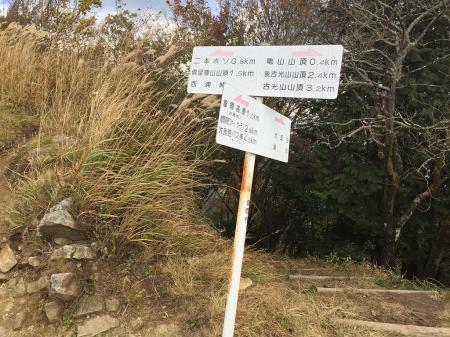 亀山峠から尾根道となる。とりあえず目指すは0.8kmの日本ボソ
