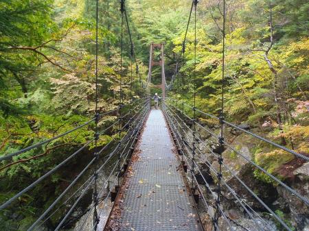 一の滝横にある吊橋。ちょいゆれる。