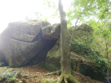 大きな巨岩があった。これが天狗岩らしいけど登ることはできない