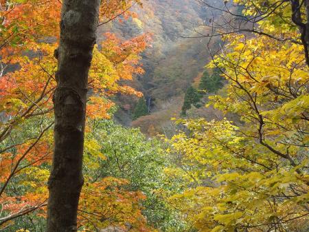 途中、紅葉の隙間から山肌途中に滝が見えて神秘的でした
