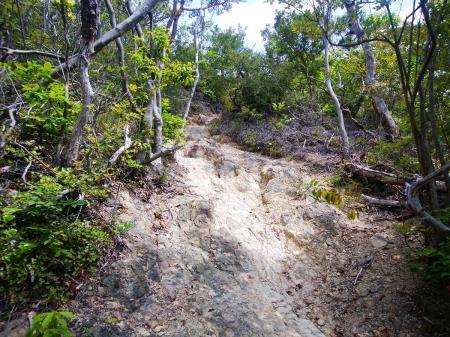 このルートはこういった岩場の道もあるが、滑ったりしないし非常に歩きやすい