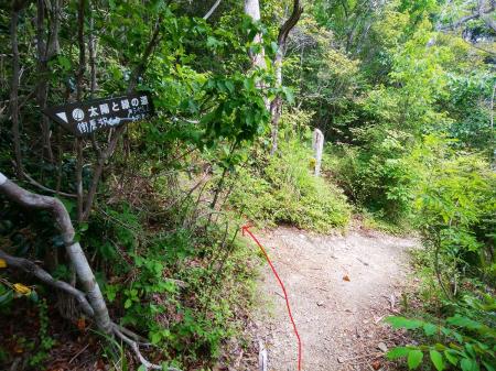 ここでシビレ山へピークハントに行くのでルートから外れて左側を登っていく