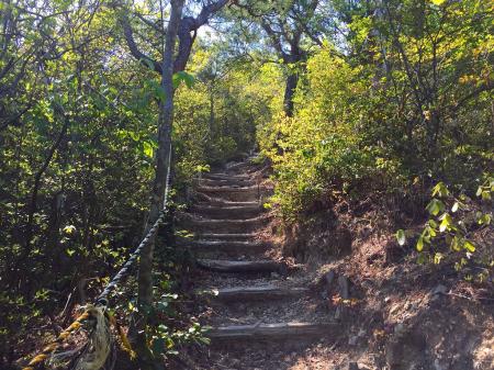 高丸山の直下、距離は短いものの、この階段は急登で息切れ
