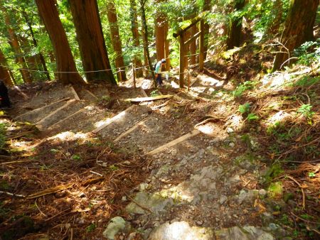 玉置神社までの下りは結構急斜面の階段になっている。これは登りだと大変だろうね
