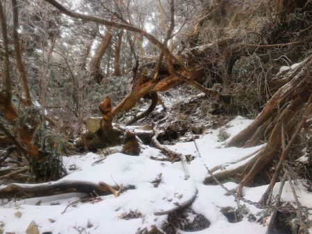 鉄山直下のこの鎖場。写真では斜面がわからないが岩も凍っていて登るのも大変だったけど面白い