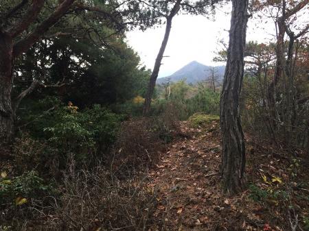 トンガリ山。あんなところから歩いてきた