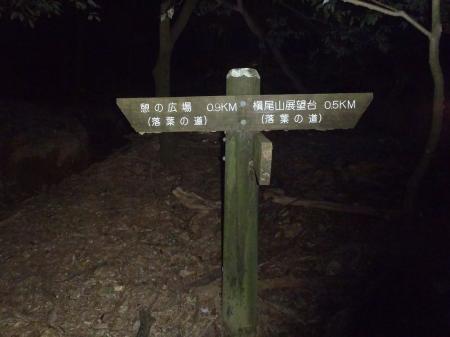 ここで初めて槙尾山展望台への道標