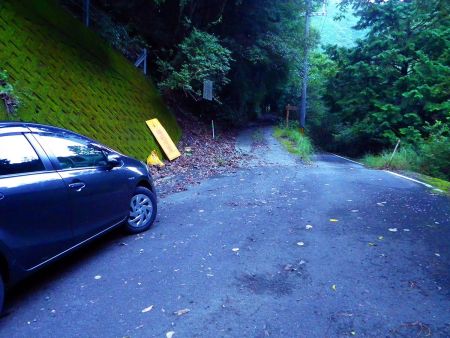 この林道と道路の分岐付近の広いスペースに車を駐車してスタート