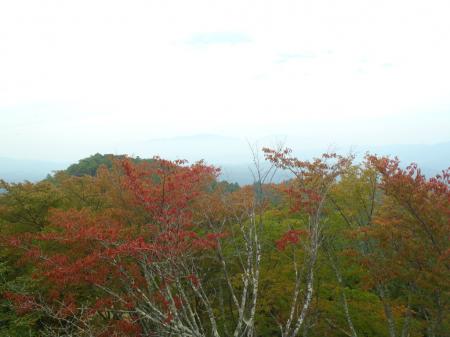 こっち方面の周りの樹林は少し紅葉がはじまってきている