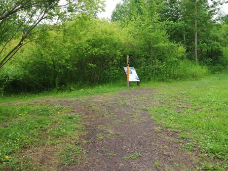 珠ちゃん火口付近まで登ってきたけど、火口はわずかに見えるくらいで雑草に覆われていた