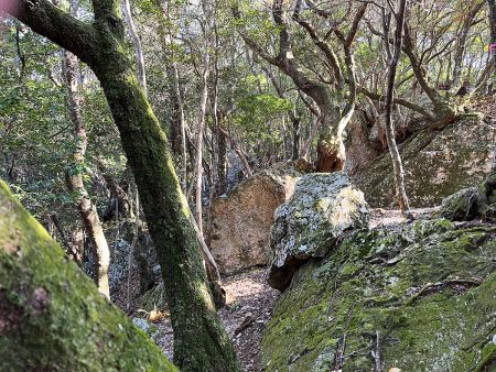 岩場の登りも少しだけどあったりする