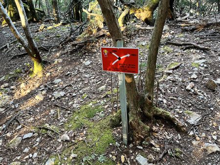 尾根道が高速道路のように早かった。行きのほうが登りが多かったからかもね