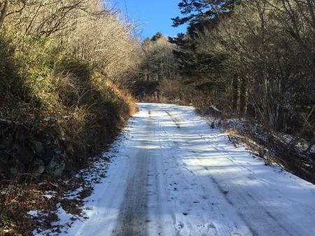 雪で凍った林道を登山口まで歩く
