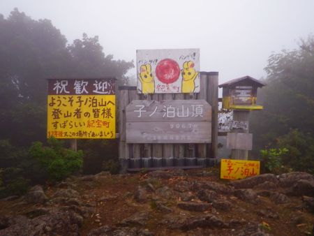子ノ泊山の山頂(907.2m)に到着。看板には906.7mになってるけどどっちが正しいんだろうか！？
