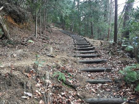 分岐に戻って林道への登り階段