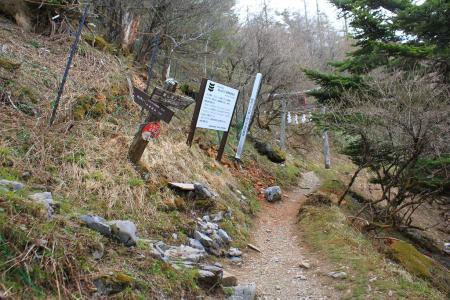 最短ルートをとるのでここを左へ登って刀掛の松経由のルート（頂上まで970m）をとる