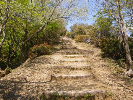 この長い階段を登り切れば小倉山山頂に到着する。ここでペースアップして登ると息を切らすので焦らずゆっくりと登る