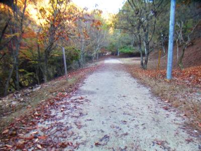 林道というか、公園内の道というか、しばらく歩いているけど登山口はまだついてない