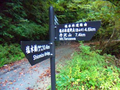 林道終点が4.6kmで丹沢山が7.4kmとかなりロングコースだ