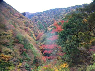 11月になり、この付近もすっかり山は色づいて紅葉になっている
