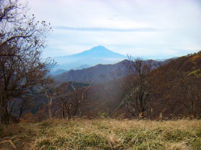 丹沢山山頂からは富士山がでかでかと見えた
