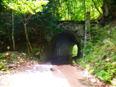 林道にトンネルがあった。登山口はこのトンネルの先になる