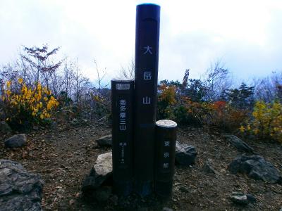山頂直下は少し急登があったものの奥多摩三山の大岳山(1266.5m)に到着