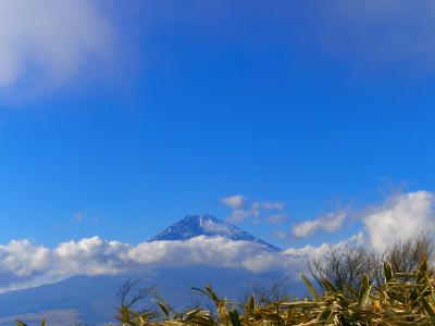 富士山がだんだん雲がかかってきた。金時山山頂までもってくれればいいんだけど・・・