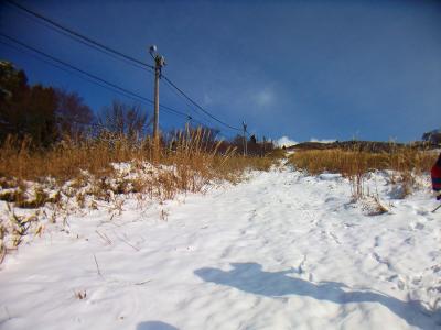 電線もあるということは元スキー場を歩いてるのかな。スキー場にしては雪が少ないからやっぱダメだったんだね