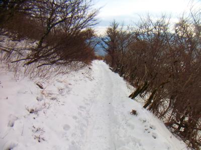 やっぱ下りといってもピストンなので6kmは長い。せっせと雪道を下っていく