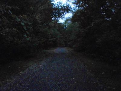 まだ外は暗いが急いで林道を歩いていく
