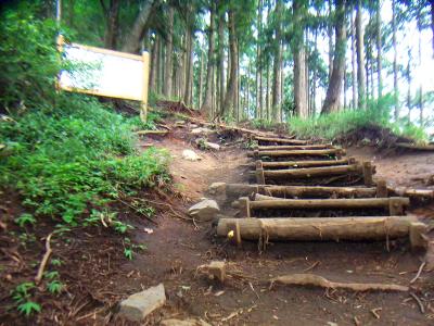 小仏城山への登り。整備された階段だし、急登でもないしそんなに苦ではなかった