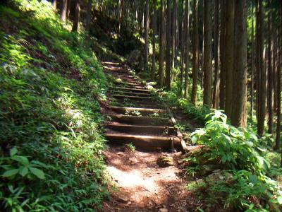 この登山道もかなり整備されていて階段も歩きやすい