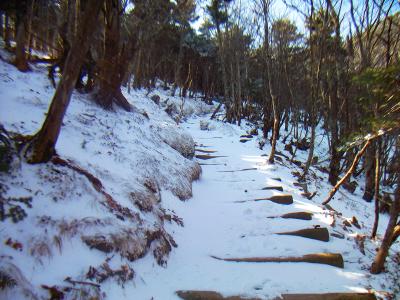 弥山への登り。階段になってるところも多いので歩きやすいけど、雪で完全に埋まっていたらまずい。まあこの程度の積雪量なら大丈夫かな