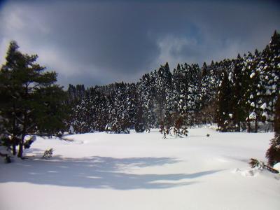 足跡やトレースのない雪景色が良い感じなので撮影してみた。もう少し木に雪がついてればいいのにね